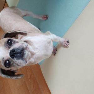 제발 지나치지마시고 제보해주세요