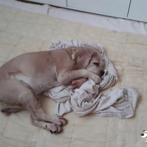 2016-07-14 새벽 연신내 잉글리쉬 코카