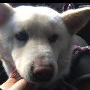 아이를 찾아주세요