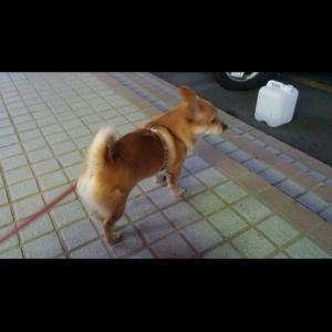 아찌를 찾습니다 경남 창원시 대방동