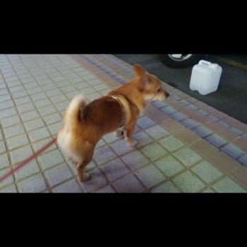 아찌를 찾습니다 경남 창원시 대방동