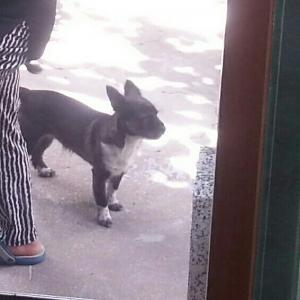 남산동새벽시장