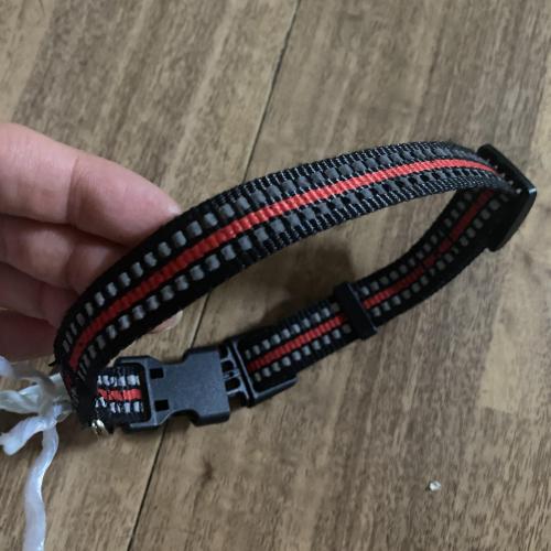 주인 찾았습니다 9.12