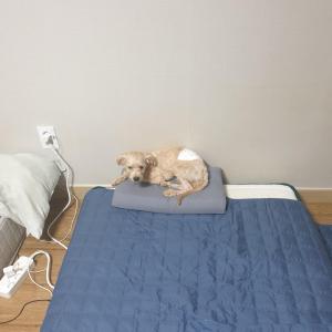 애기를 찾습니다