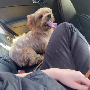 대박이를 찾고있습니다..간절히