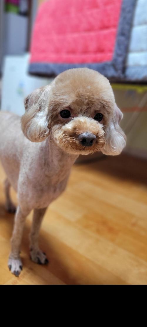 좋은가족찾습니다 책임비×