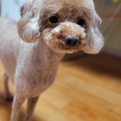 좋은가족찾습니다 책임비×