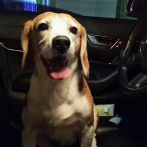 맹구좀찾아주세요..