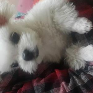 안양 동편마을 관악산위치..