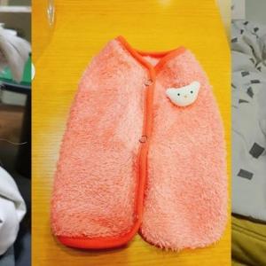 청주시 말티즈찾아요