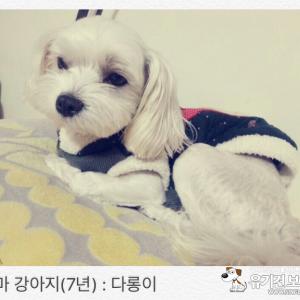 도와주세요