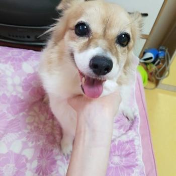 아이를 찾습니다.