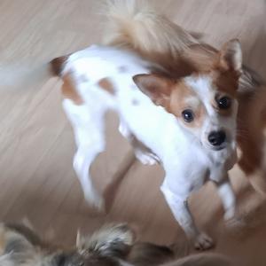 구의동서개를찾습니다