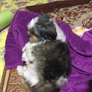 사하구/ 감천동 찾습니다 !!!