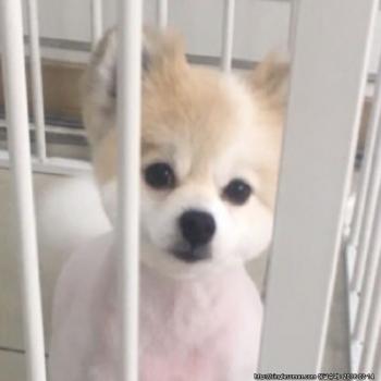 은평구 불광동