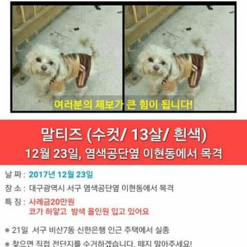 서울이  찾았습니다
