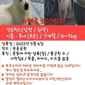 대구 루나 찾고 있습니다