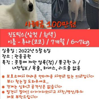 대구 루나 찾고 있습니다