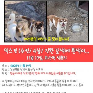 영천에서 우리 두기가 없어졌어요ㅠㅠ!!