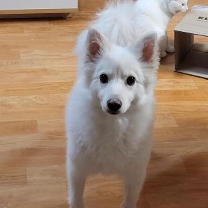 스피치 찾습니다