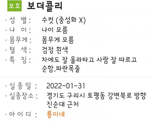 보더콜리 보호중