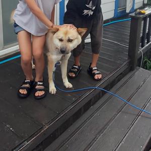 집나갔어요