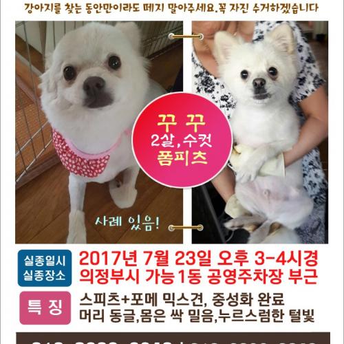 의정부가능1동 폼피츠찾아요