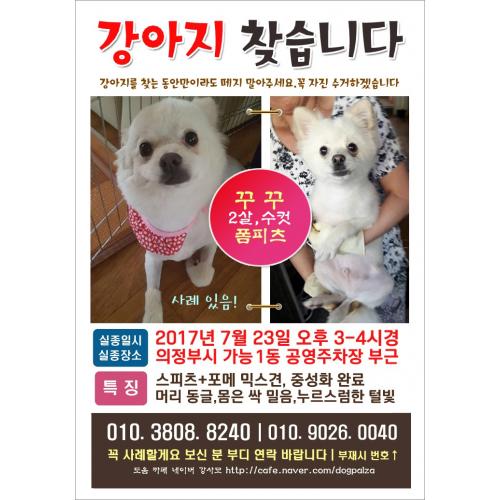 의정부가능1동 폼피츠찾아요