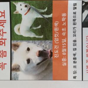 2017년8월.잃어버렸습니다 ㅠㅠ