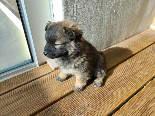 장군면 금암2리 자전거도로 근처에서 발견