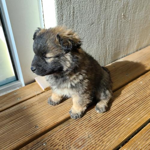 장군면 금암2리 자전거도로 근처에서 발견