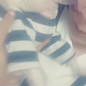 대구 말티즈 유기견찾습니다..