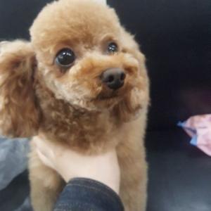 아찌를 찾아주세요