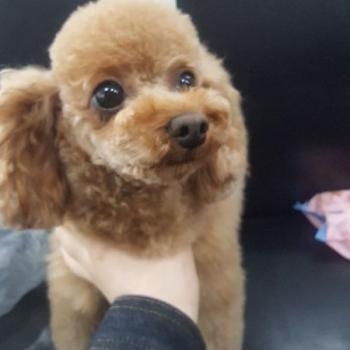 아찌를 찾아주세요