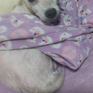 부천시 원미구 두부를 찾습니다