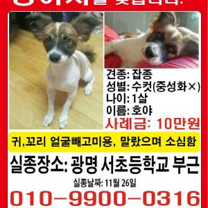 경기광명]저희아가를찾습니다..제발도와주세요