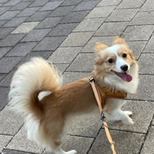 찾아주세요
