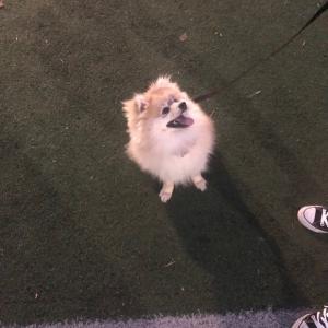 인천 남동구 부분에서 호두를 찾습니다 인천 전지역포함