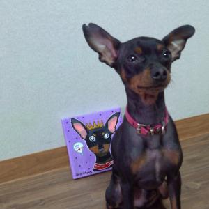 대구 동구 화랑교 근처  미니핀 찾습니다 010 9981 8535