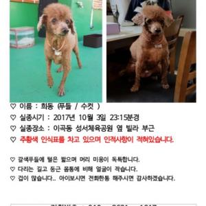 저희 아이를 찾습니다