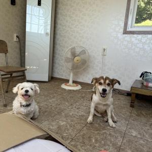 우리 표 찾아주세요ㅠㅠ