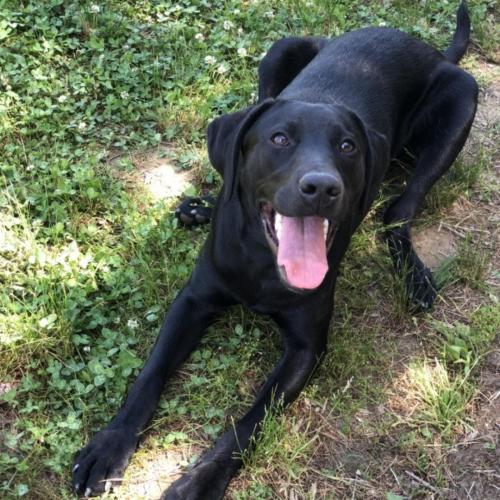 좋은환경에서 사랑으로 키워주실 분 구합니다