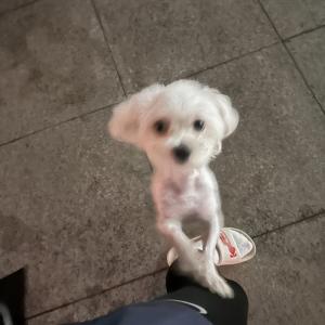 김포장기본동호반베르디움더퍼스트에서 발견되었습니다