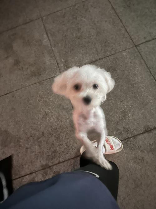 김포장기본동호반베르디움더퍼스트에서 발견되었습니다