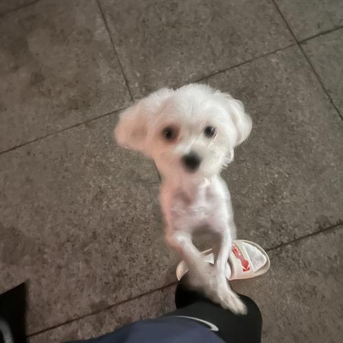 김포장기본동호반베르디움더퍼스트에서 발견되었습니다