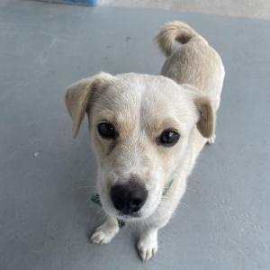 건빵이 찾습니다..