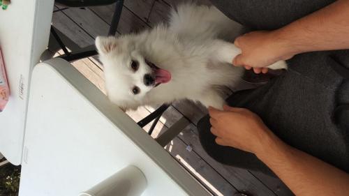 보호하고 있어요