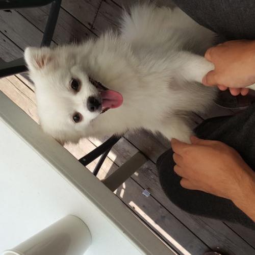 보호하고 있어요