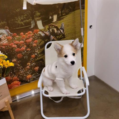 분양 완료 됐어요~