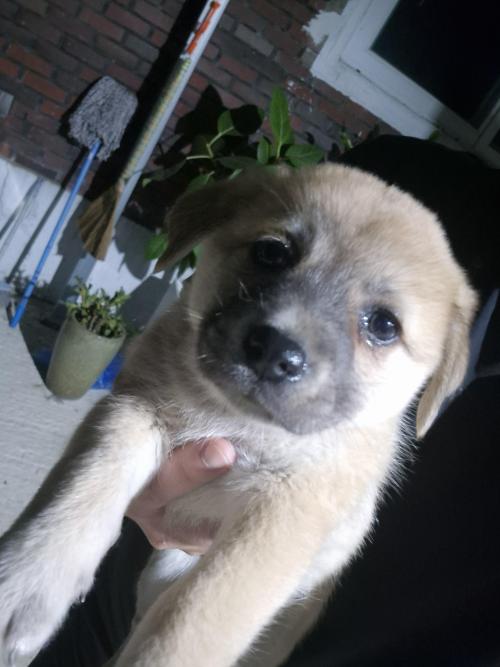 1개월반 여아 남아